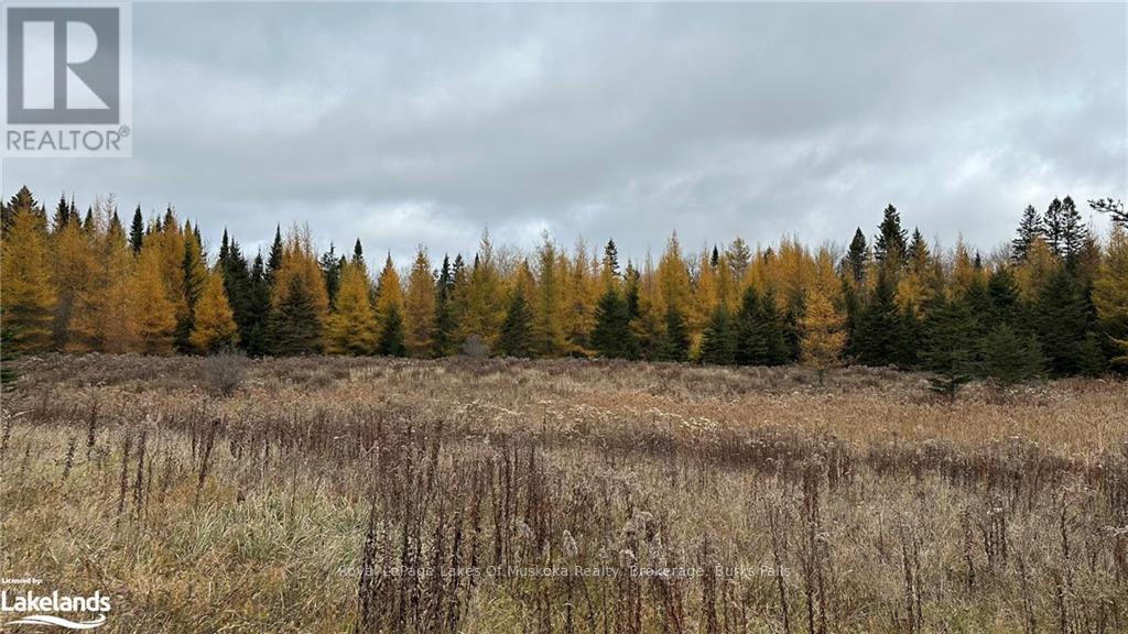Lot 2 Hill And Gully Road, Ryerson, Ontario  P0A 1C0 - Photo 4 - X10438952