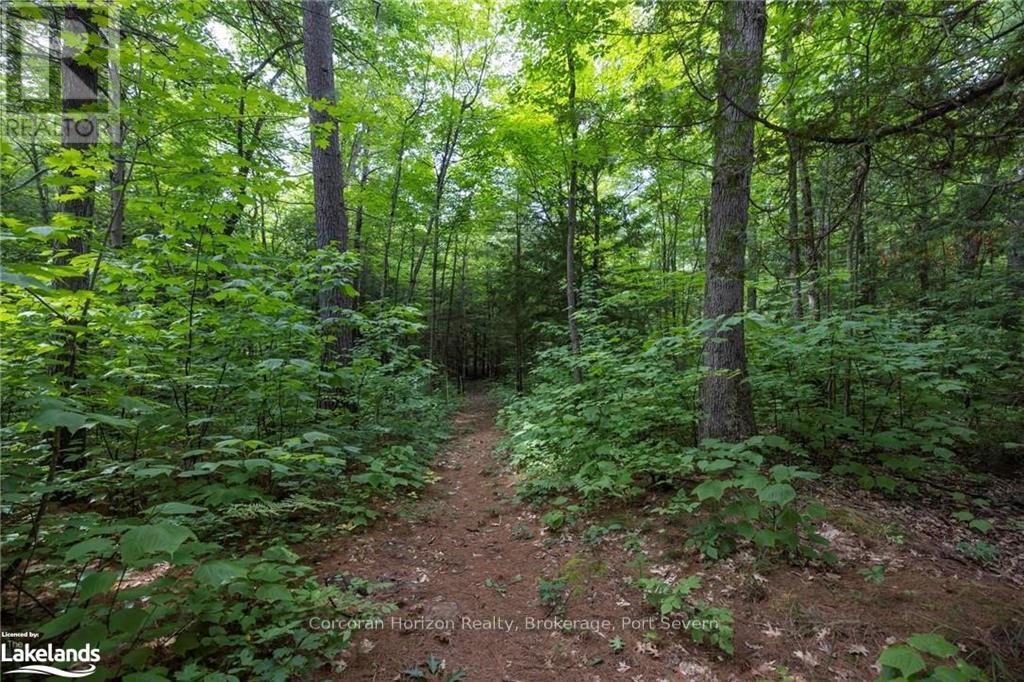 242 Is 90 Six Mi Lake Road, Georgian Bay, Ontario  L0K 1S0 - Photo 27 - X10438968