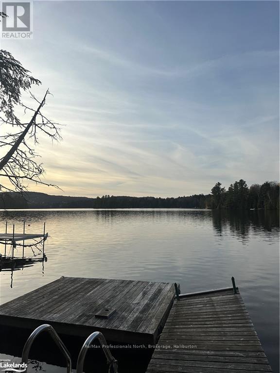 1082 Grosbeak Drive, Dysart Et Al, Ontario  K0L 1M1 - Photo 5 - X10437921