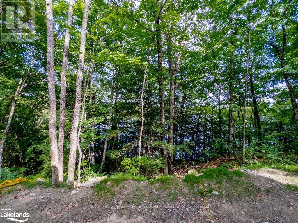 16 Long & Winding Road, Seguin, Ontario  P2A 2W8 - Photo 23 - X10439004