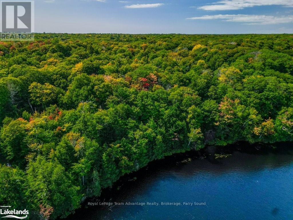 16 Long & Winding Road, Seguin, Ontario  P2A 2W8 - Photo 25 - X10439004