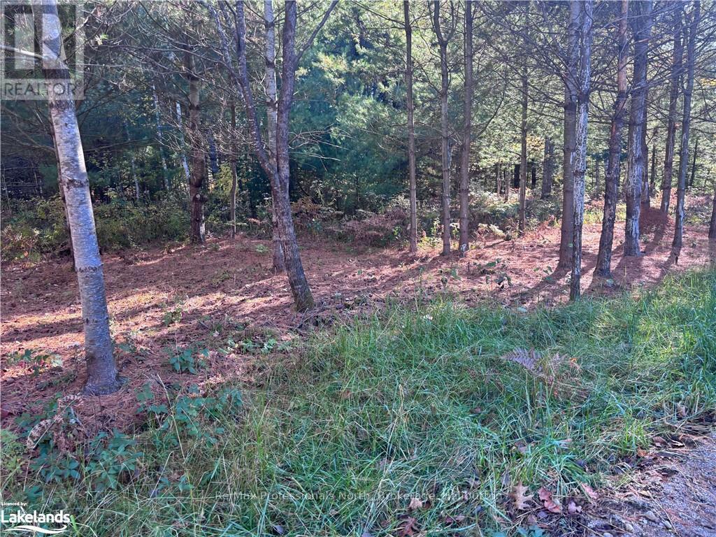 Property at LOT 2 N/A image 3