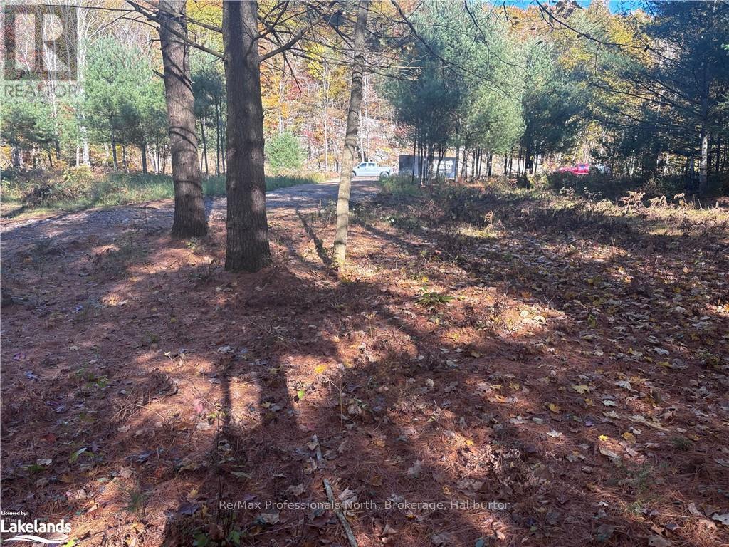 Lot 2, Algonquin Highlands (Stanhope), Ontario  K0M 1J2 - Photo 6 - X10436614