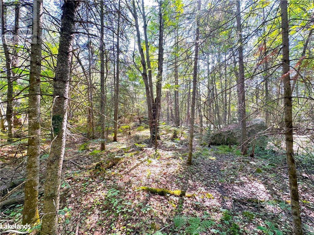 0 Tom Coopers Road, Carling, Ontario  P0G 1G0 - Photo 10 - X10437349