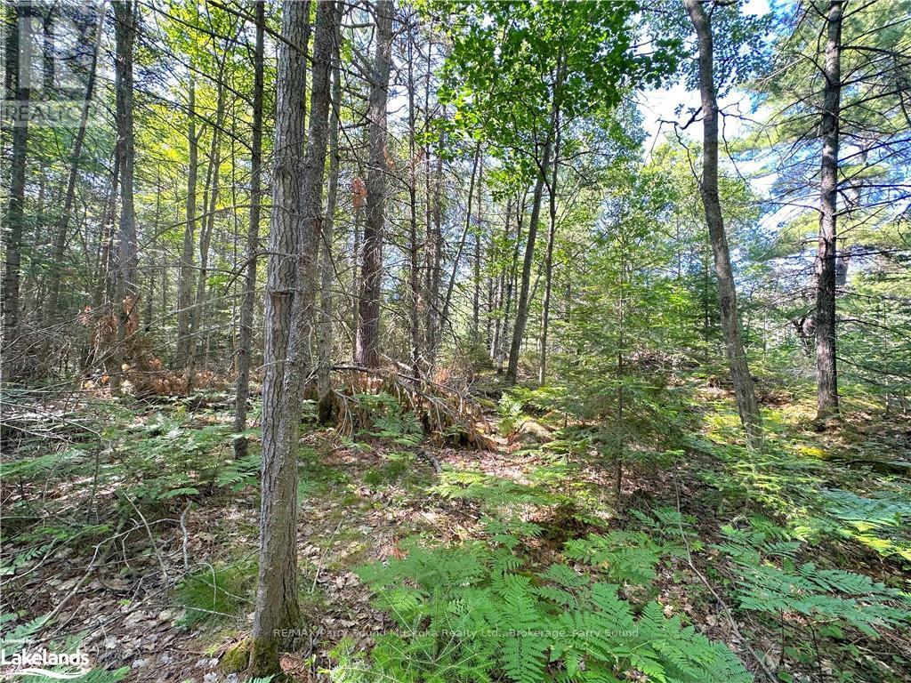 0 Tom Coopers Road, Carling, Ontario  P0G 1G0 - Photo 11 - X10437349