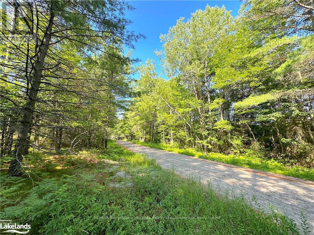 0 Tom Coopers Road, Carling, Ontario  L8R 1X2 - Photo 13 - X10437349