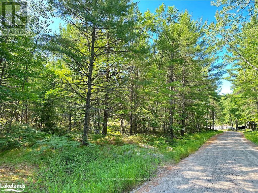 0 Tom Coopers Road, Carling, Ontario  P0G 1G0 - Photo 2 - X10437349