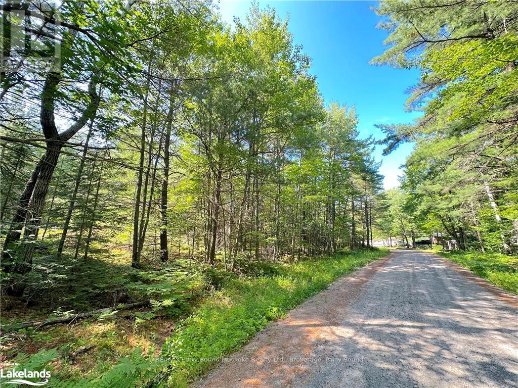 0 Tom Coopers Road, Carling, Ontario  P0G 1G0 - Photo 5 - X10437349