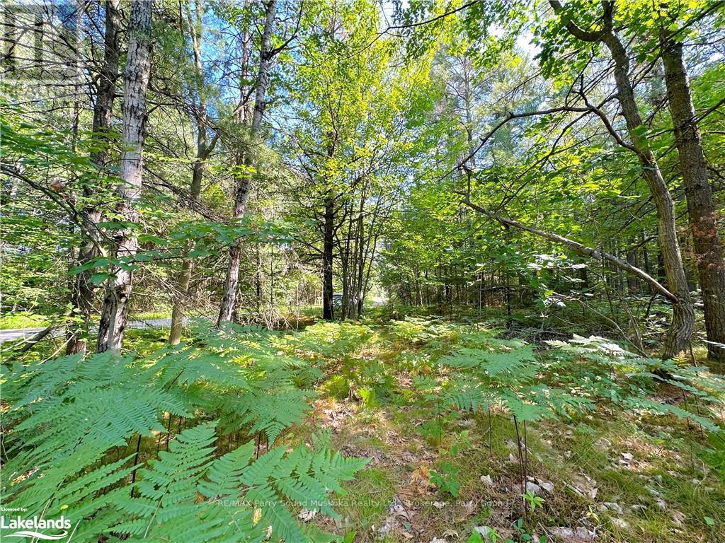 0 Tom Coopers Road, Carling, Ontario  P0G 1G0 - Photo 6 - X10437349
