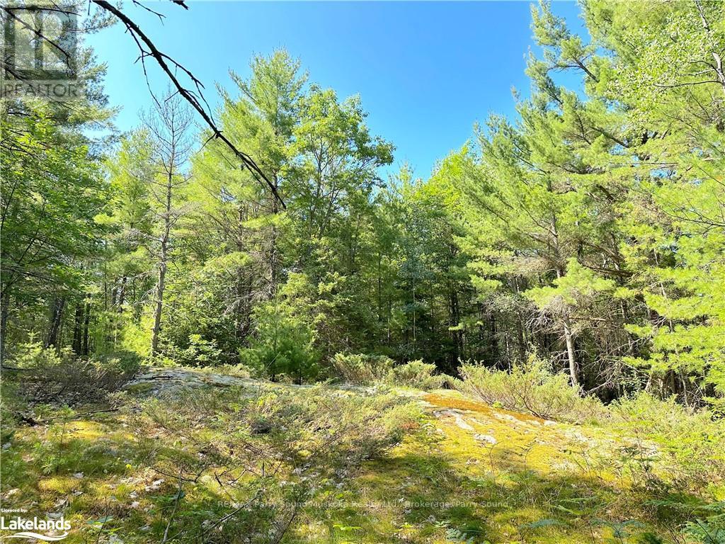 0 Tom Coopers Road, Carling, Ontario  P0G 1G0 - Photo 7 - X10437349