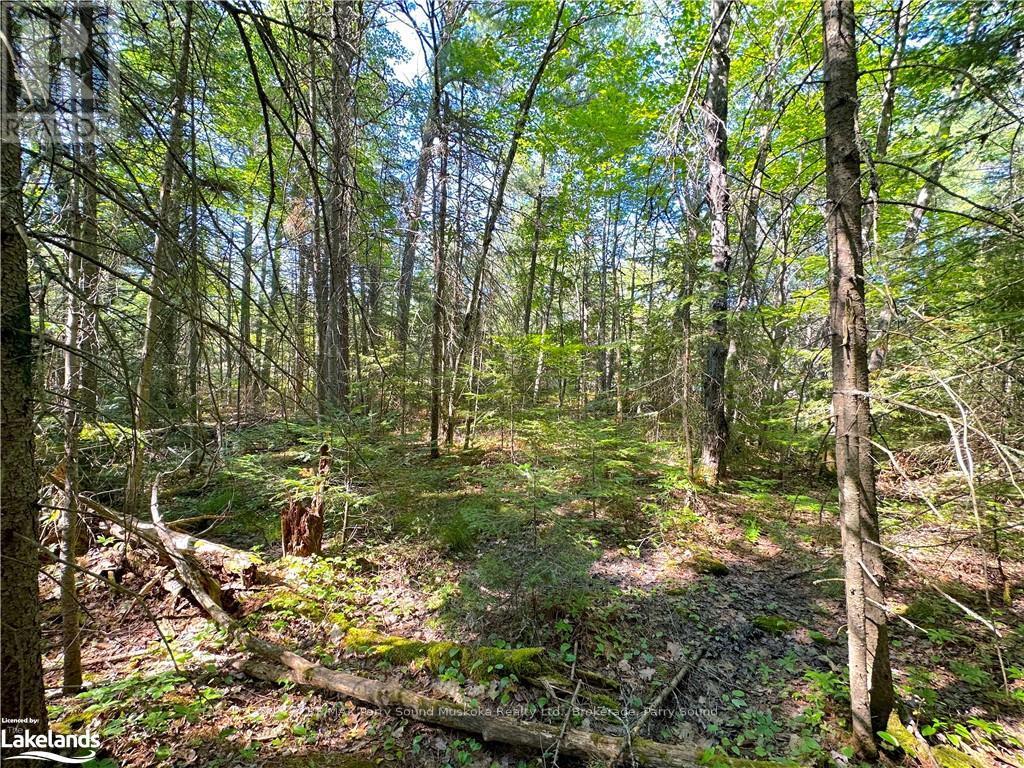 0 Tom Coopers Road, Carling, Ontario  P0G 1G0 - Photo 9 - X10437349