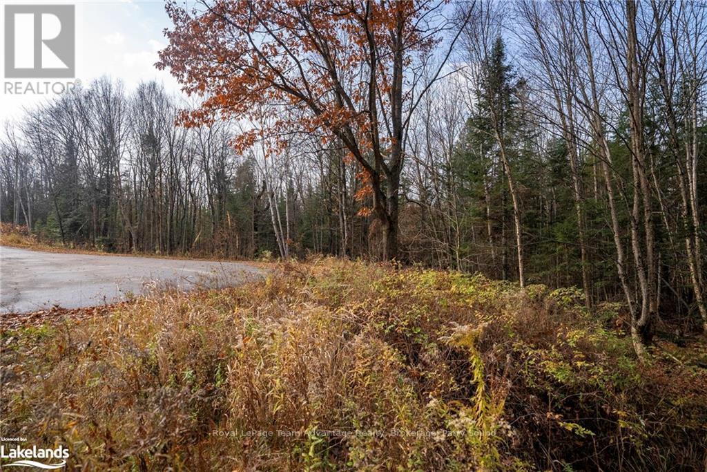 181 Clarkes Lane, Huntsville, Ontario  P0B 1M0 - Photo 14 - X10436635