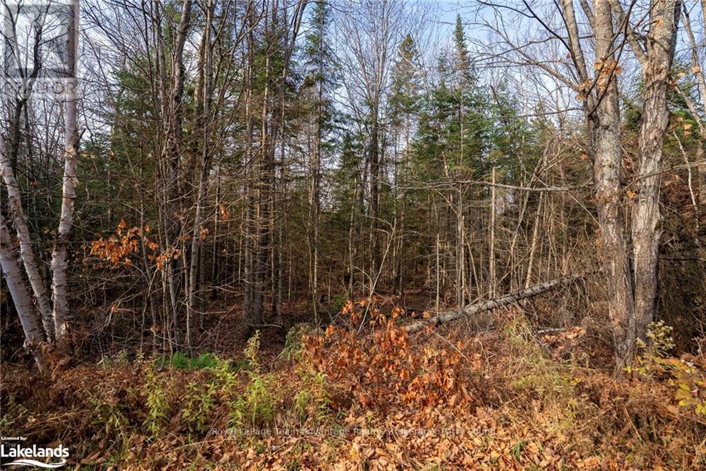 181 Clarkes Lane, Huntsville, Ontario  P0B 1M0 - Photo 15 - X10436635