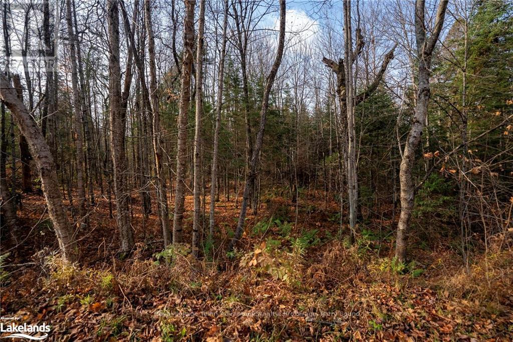 181 Clarkes Lane, Huntsville, Ontario  P0B 1M0 - Photo 16 - X10436635