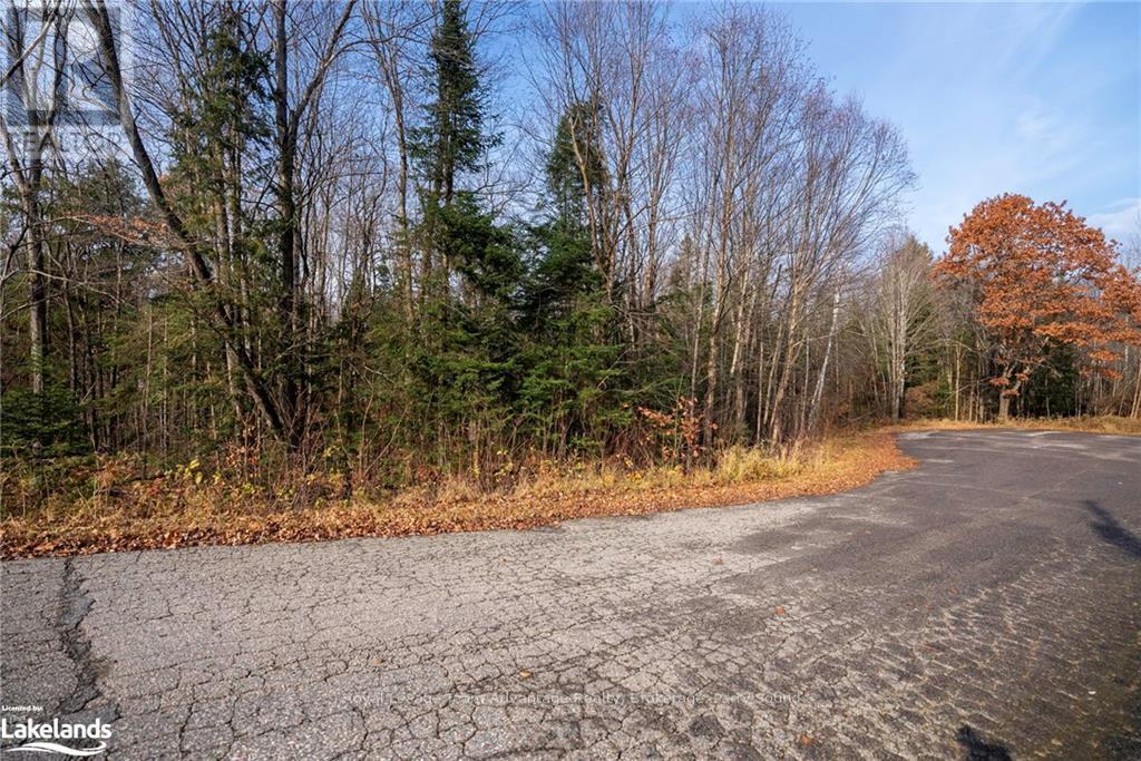 181 Clarkes Lane, Huntsville, Ontario  P0B 1M0 - Photo 17 - X10436635