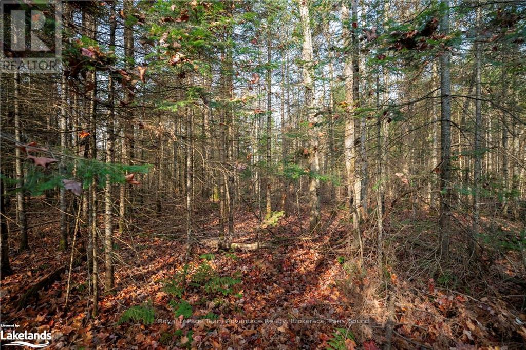 181 Clarkes Lane, Huntsville, Ontario  P0B 1M0 - Photo 18 - X10436635