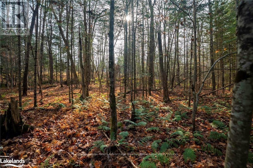 181 Clarkes Lane, Huntsville, Ontario  P0B 1M0 - Photo 19 - X10436635