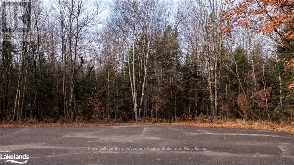 181 Clarkes Lane, Huntsville, Ontario  P0B 1M0 - Photo 2 - X10436635