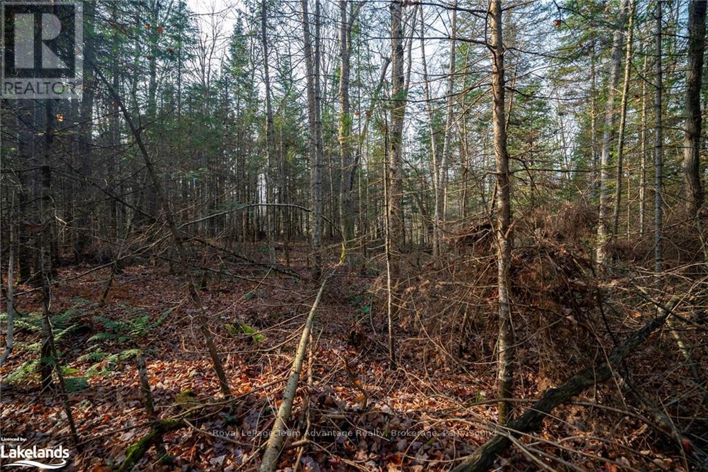 181 Clarkes Lane, Huntsville, Ontario  P0B 1M0 - Photo 20 - X10436635