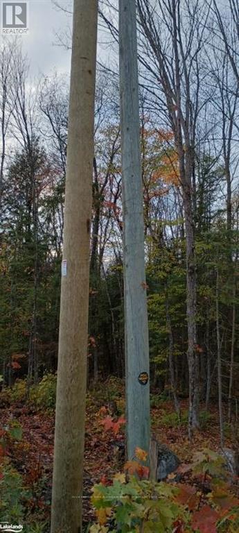 181 Clarkes Lane, Huntsville, Ontario  P0B 1M0 - Photo 21 - X10436635