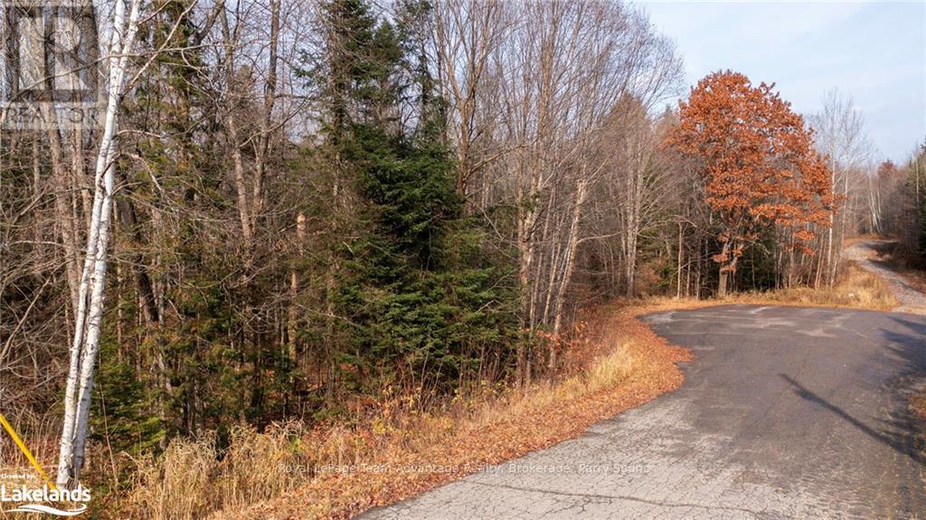 181 Clarkes Lane, Huntsville, Ontario  P0B 1M0 - Photo 3 - X10436635