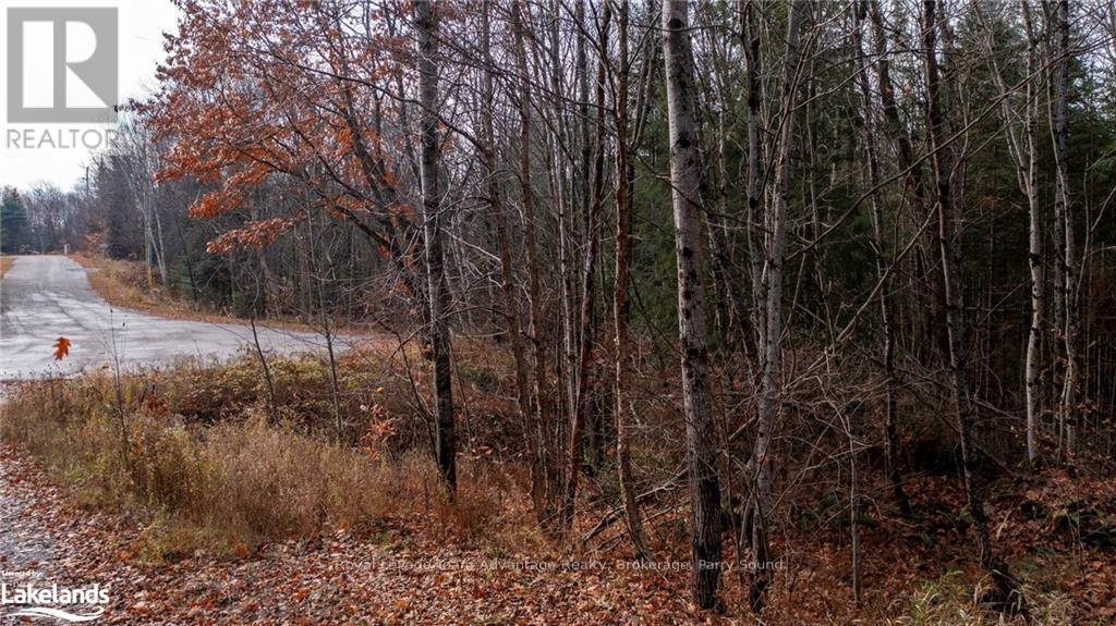 181 Clarkes Lane, Huntsville, Ontario  P0B 1M0 - Photo 4 - X10436635