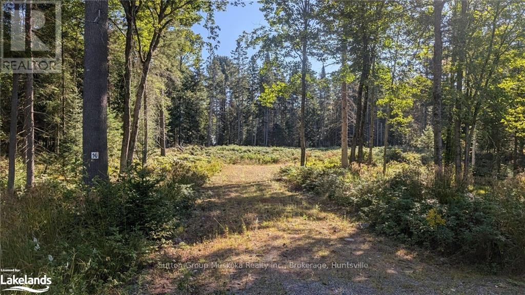 11 Crimson Lane, Huntsville, Ontario  P0B 1L0 - Photo 3 - X10437894