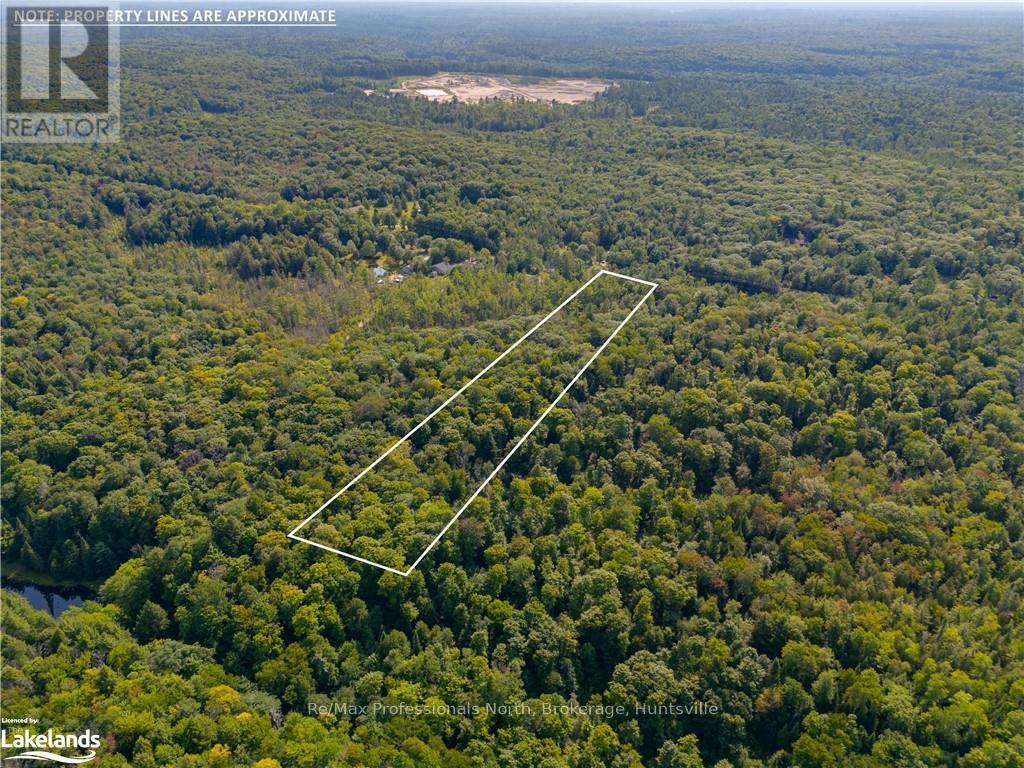 0 Bonnie Lake Road, Bracebridge (Macaulay), Ontario  P1L 1W9 - Photo 14 - X10438856