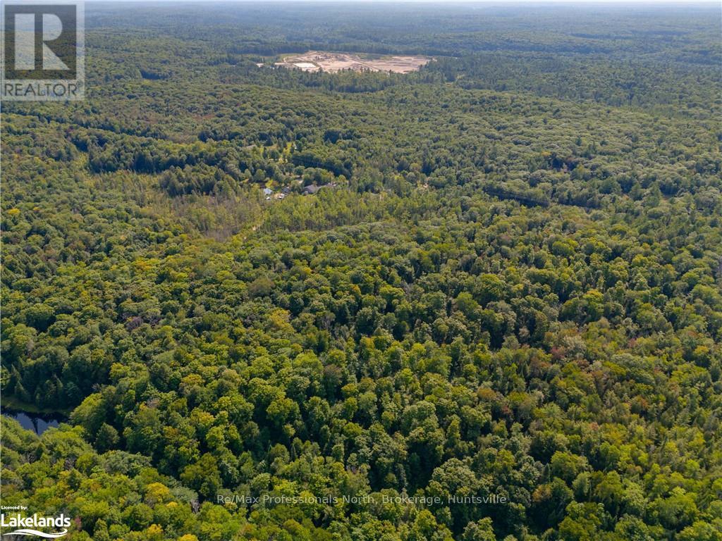0 Bonnie Lake Road, Bracebridge (Macaulay), Ontario  P1L 1W9 - Photo 15 - X10438856