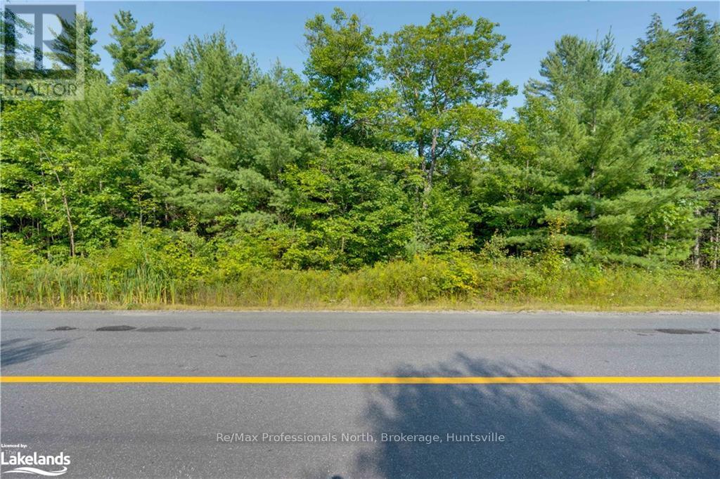 0 Bonnie Lake Road, Bracebridge (Macaulay), Ontario  P1L 1W9 - Photo 2 - X10438856