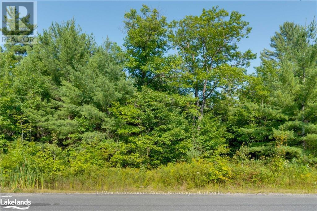 0 Bonnie Lake Road, Bracebridge (Macaulay), Ontario  P1L 1W9 - Photo 3 - X10438856