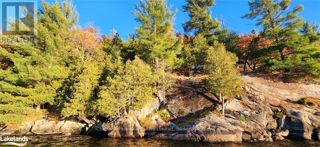 920 Big Island, Huntsville (Stisted), Ontario  P1H 2J2 - Photo 6 - X10438076