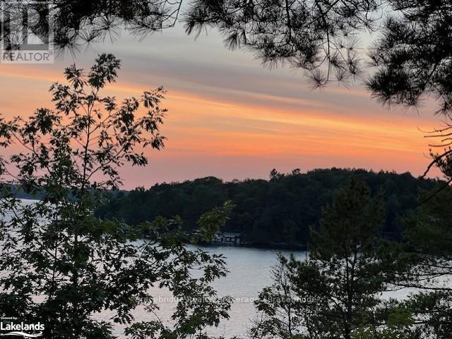 L204-D2 - 1869 Muskoka Road 118 W, Muskoka Lakes (Monck (Muskoka Lakes)), Ontario  P1L 1W8 - Photo 14 - X10439154