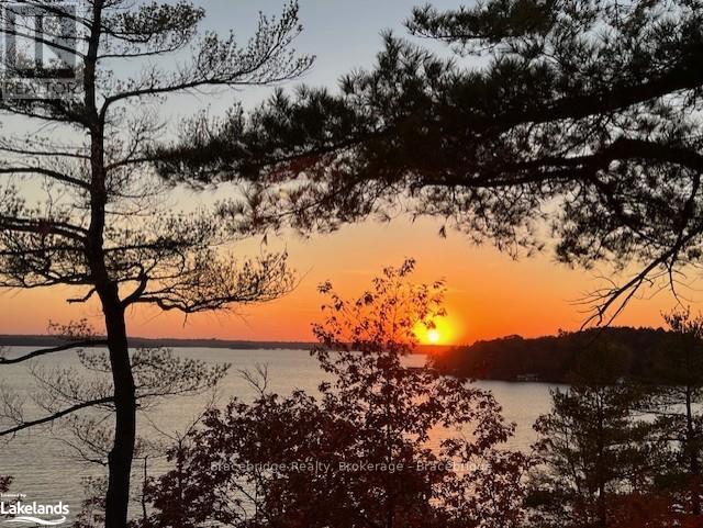 L204-D2 - 1869 Muskoka Road 118 W, Muskoka Lakes (Monck (Muskoka Lakes)), Ontario  P1L 1W8 - Photo 15 - X10439154