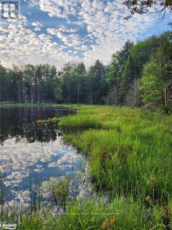 Lot 32 Concession 5, Bracebridge (Oakley), Ontario  P1L 1X1 - Photo 19 - X10439199