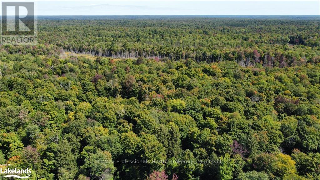 Lot 32 Concession 5, Bracebridge (Oakley), Ontario  P1L 1X1 - Photo 22 - X10439199