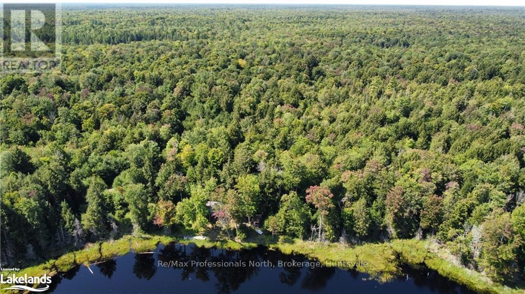 Lot 32 Concession 5, Bracebridge (Oakley), Ontario  P1L 1X1 - Photo 23 - X10439199