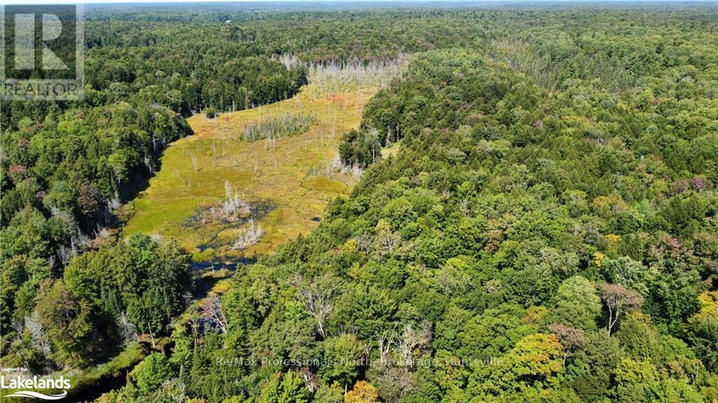 Lot 32 Concession 5, Bracebridge (Oakley), Ontario  P1L 1X1 - Photo 24 - X10439199