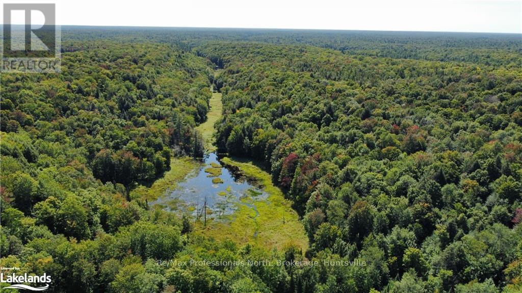 Lot 32 Concession 5, Bracebridge (Oakley), Ontario  P1L 1X1 - Photo 25 - X10439199