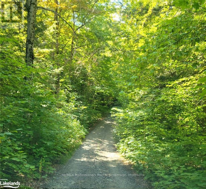 Lot 32 Concession 5, Bracebridge (Oakley), Ontario  P1L 1X1 - Photo 26 - X10439199