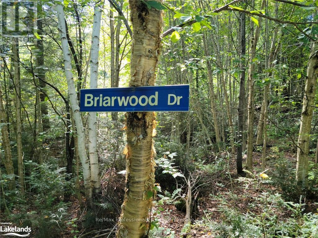 Lot 32 Concession 5, Bracebridge (Oakley), Ontario  P1L 1X1 - Photo 28 - X10439199