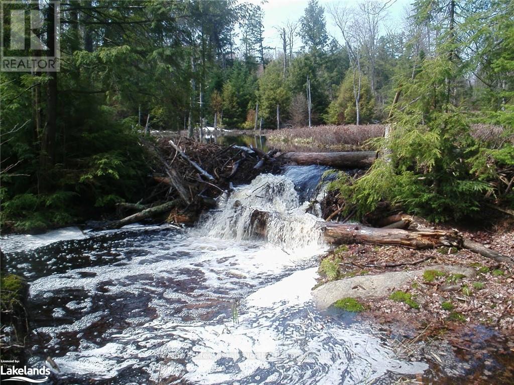 Lot 32 Concession 5, Bracebridge (Oakley), Ontario  P1L 1X1 - Photo 3 - X10439199