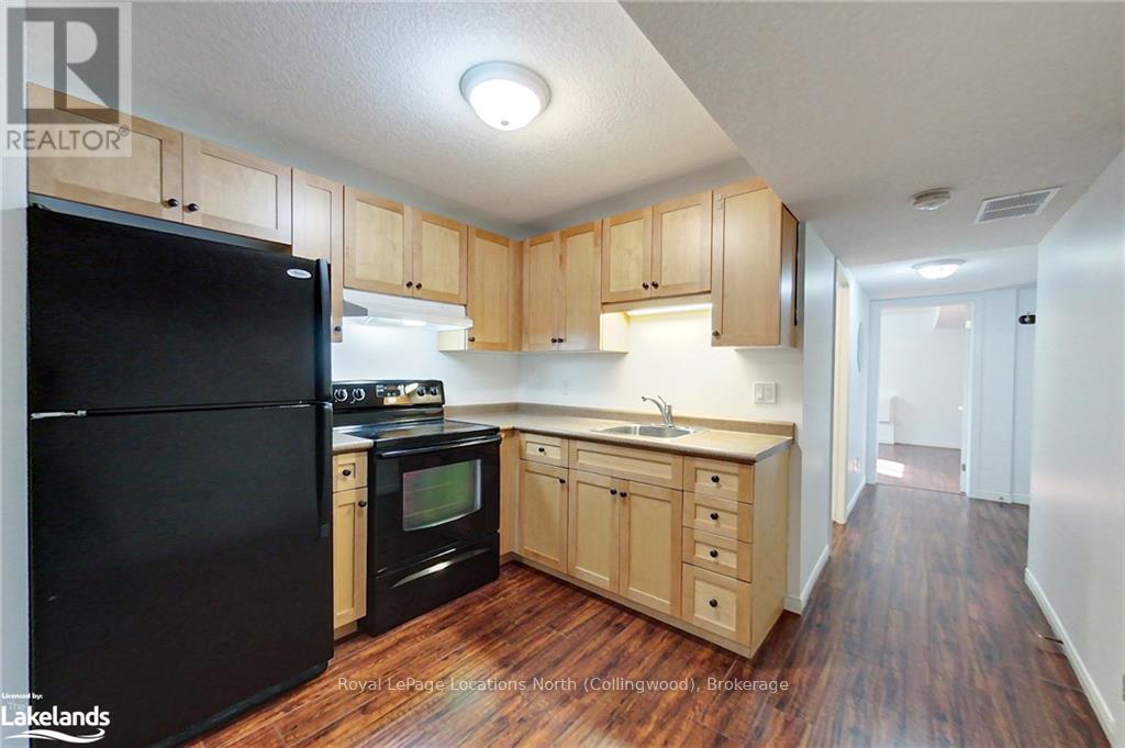 47 Williams Street, Collingwood, Ontario  L9Y 0C4 - Photo 19 - S10438615