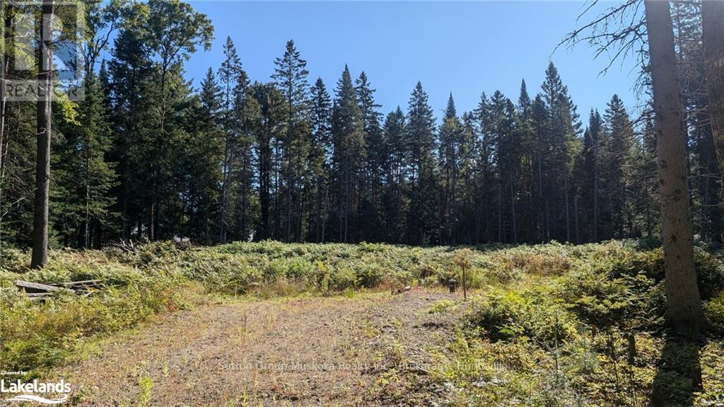 10 Crimson Lane, Huntsville, Ontario  P0B 1L0 - Photo 4 - X10437800