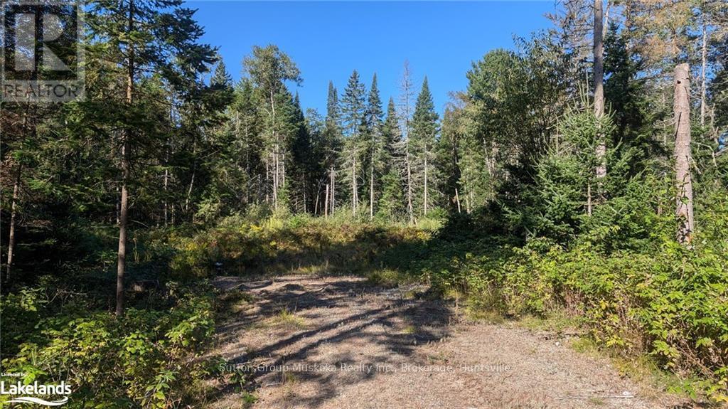 17 Crimson Lane, Huntsville, Ontario  P0B 1L0 - Photo 4 - X10437832