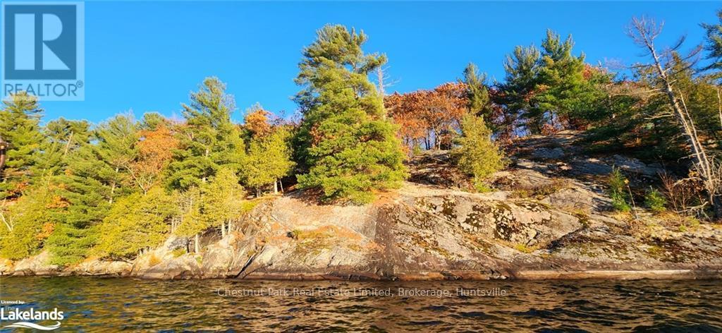 920 Big Island, Huntsville (Stisted), Ontario  P1H 2J2 - Photo 2 - X10438076