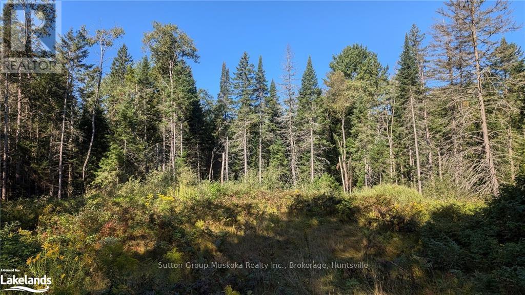 17 Crimson Lane, Huntsville, Ontario  P0B 1L0 - Photo 6 - X10437832