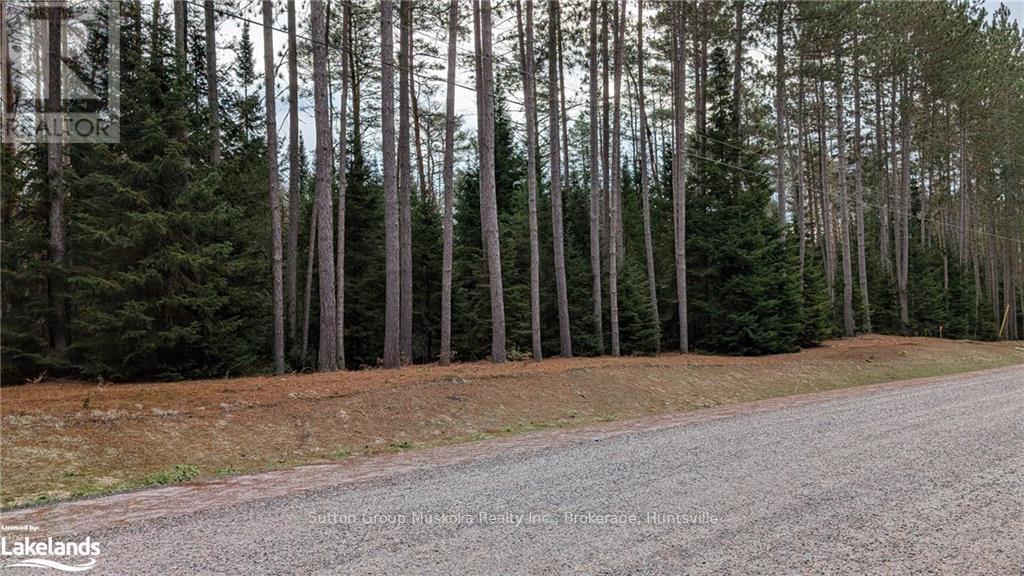 2 Red Pine Trail, Bracebridge (Macaulay), Ontario  P0B 1L0 - Photo 3 - X10438031