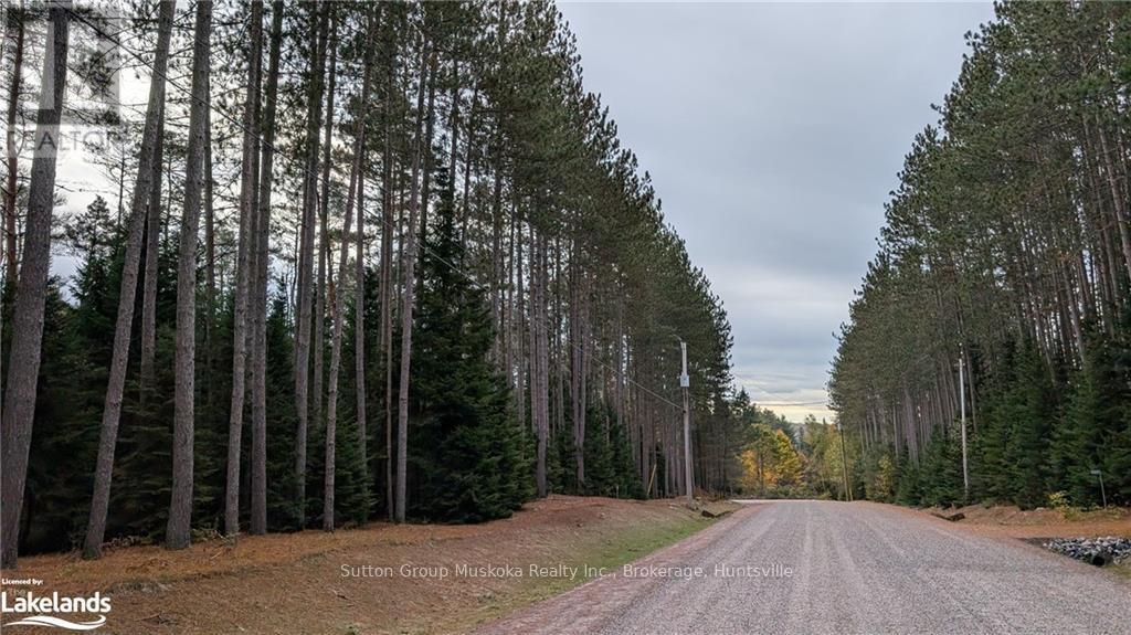 2 Red Pine Trail, Bracebridge (Macaulay), Ontario  P0B 1L0 - Photo 4 - X10438031