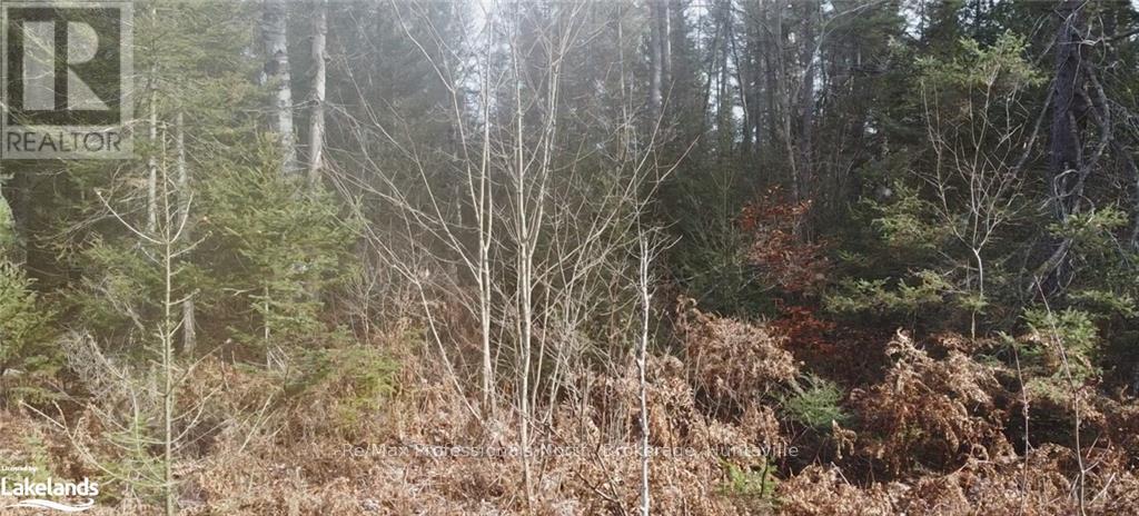 0 Bucko Mcdonald Drive, Strong, Ontario  P0A 1Z0 - Photo 4 - X10437249